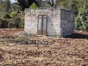 Rustico / Casale in vendita a Ceglie Messapica BR