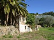 Rustico / Casale in vendita a Ceriana IM