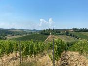 Rustico / Casale in vendita a Cerreto Guidi FI