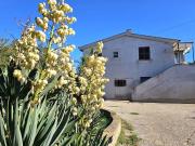 Rustico / Casale in vendita a Cerveteri RM