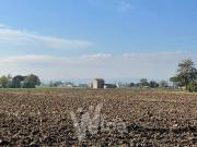 Rustico / Casale in vendita a Cesena FC