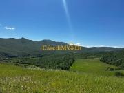 Rustico / Casale in vendita a Chianni PI