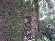 Rustico / Casale in vendita a Chiavari GE