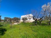 Rustico / Casale in vendita a Cisternino BR