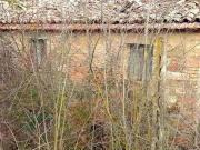 Rustico / Casale in vendita a Collazzone PG