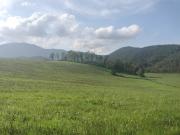 Rustico / Casale in vendita a Colli sul Velino RI