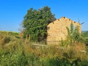 Rustico / Casale in vendita a Controguerra TE