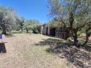 Rustico / Casale in vendita a Corchiano VT