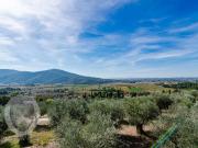 Rustico / Casale in vendita a Cortona AR