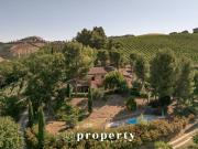 Rustico / Casale in vendita a Cossignano AP