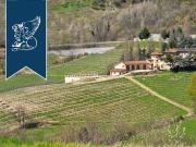 Rustico / Casale in vendita a Cremolino AL