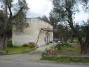 Rustico / Casale in vendita a Cutrofiano LE