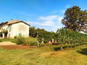 Rustico / Casale in vendita a Desenzano del Garda BS