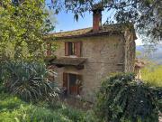 Rustico / Casale in vendita a Dicomano FI