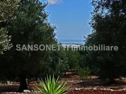 Rustico / Casale in vendita a Fasano BR