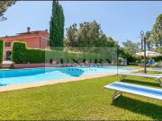 Rustico / Casale in vendita a Fauglia PI