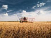 Rustico / Casale in vendita a Fiumicino RM