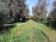 Rustico / Casale in vendita a Francavilla Fontana BR