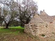 Rustico / Casale in vendita a Francavilla Fontana BR