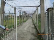 Rustico / Casale in vendita a Gallicano nel Lazio RM
