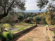 Rustico / Casale in vendita a Gallicano nel Lazio RM