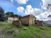 Rustico / Casale in vendita a Gambassi Terme FI