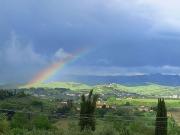 Rustico / Casale in vendita a Gambassi Terme FI