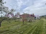 Rustico / Casale in vendita a Gavorrano GR