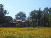Rustico / Casale in vendita a Gavorrano GR