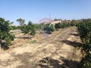 Rustico / Casale in vendita a Grammichele CT