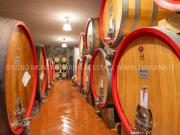 Rustico / Casale in vendita a Greve in Chianti FI