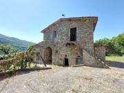 Rustico / Casale in vendita a Greve in Chianti FI