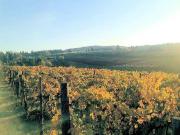 Rustico / Casale in vendita a Grosseto GR