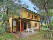 Rustico / Casale in vendita a Grosseto GR