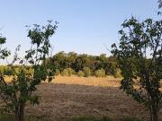 Rustico / Casale in vendita a Grosseto GR