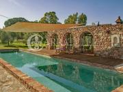 Rustico / Casale in vendita a Grosseto GR