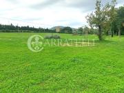 Rustico / Casale in vendita a Grosseto GR