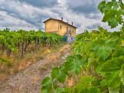 Rustico / Casale in vendita a Grottaferrata RM