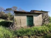Rustico / Casale in vendita a Ischia di Castro VT