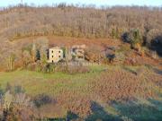 Rustico / Casale in vendita a Latera VT