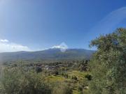 Rustico / Casale in vendita a Linguaglossa CT