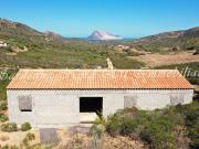 Rustico / Casale in vendita a Loiri Porto San Paolo SS