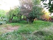 Rustico / Casale in vendita a Lucca LU