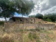 Rustico / Casale in vendita a Magliano in Toscana GR