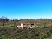 Rustico / Casale in vendita a Manciano GR