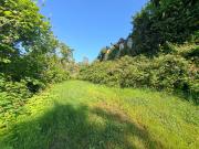 Rustico / Casale in vendita a Manta CN