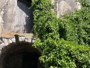 Rustico / Casale in vendita a Maratea PZ
