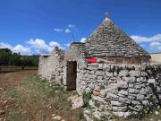 Rustico / Casale in vendita a Martina Franca TA