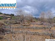 Rustico / Casale in vendita a Mascali CT