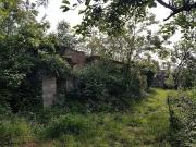 Rustico / Casale in vendita a Massa Marittima GR